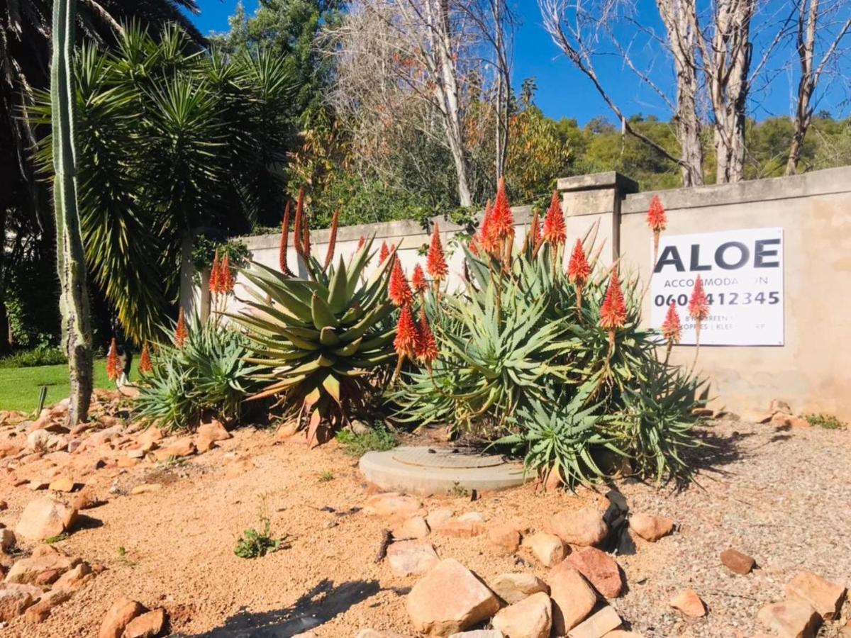 Aloe Guesthouse Klerksdorp Kültér fotó