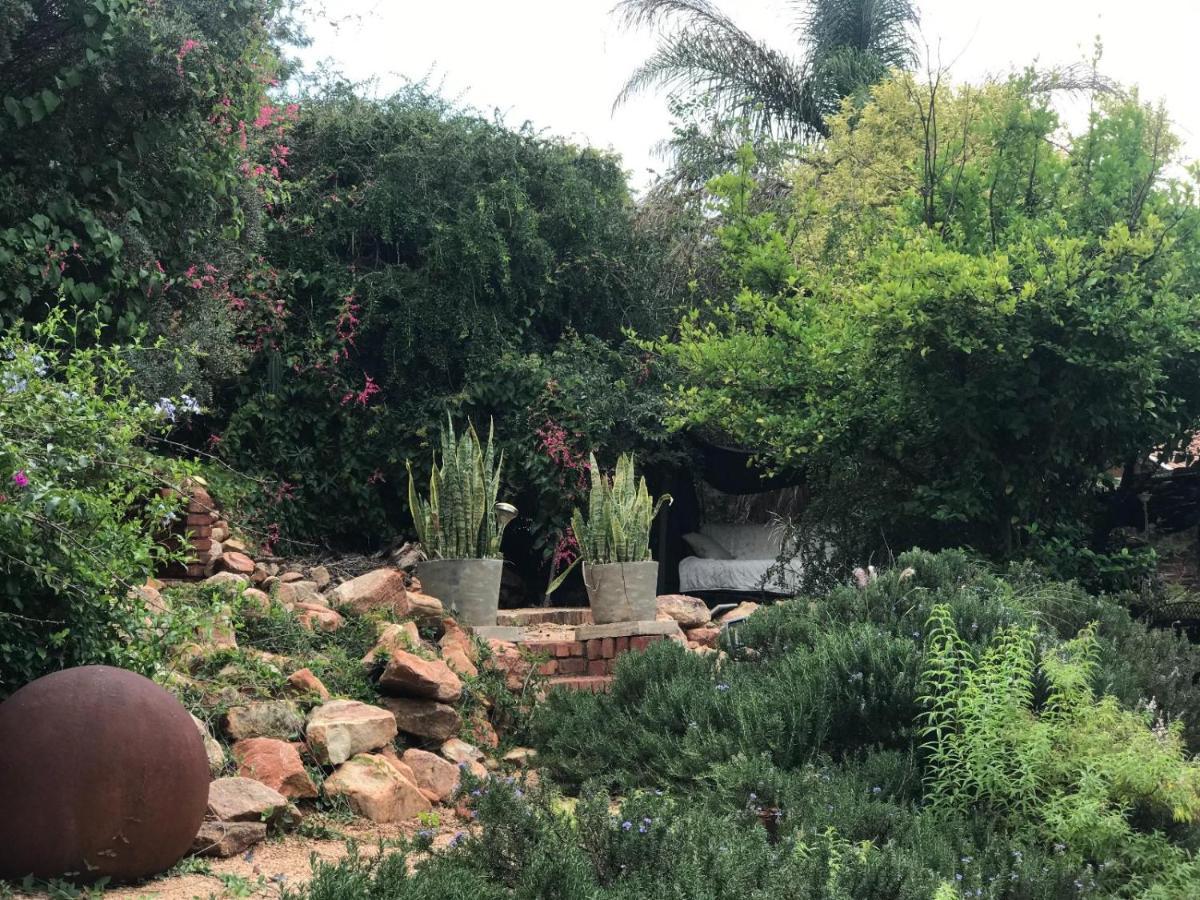 Aloe Guesthouse Klerksdorp Kültér fotó