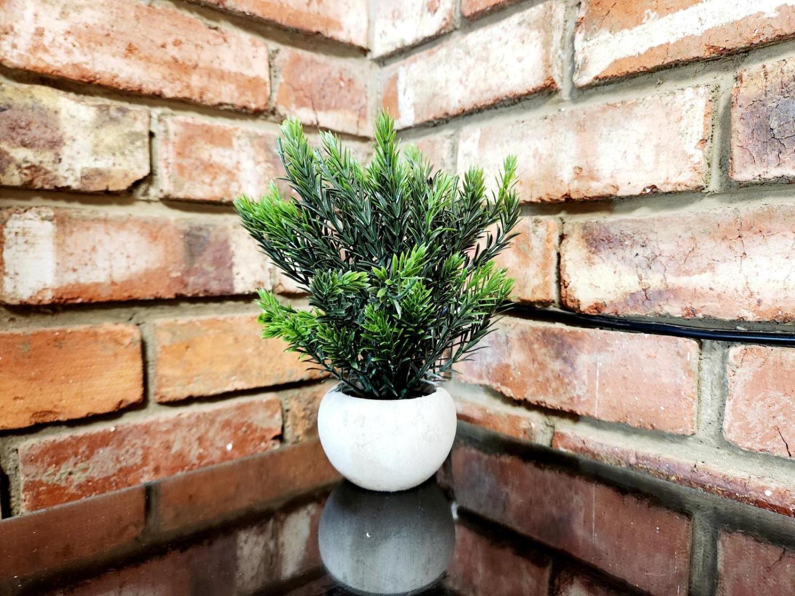 Aloe Guesthouse Klerksdorp Szoba fotó